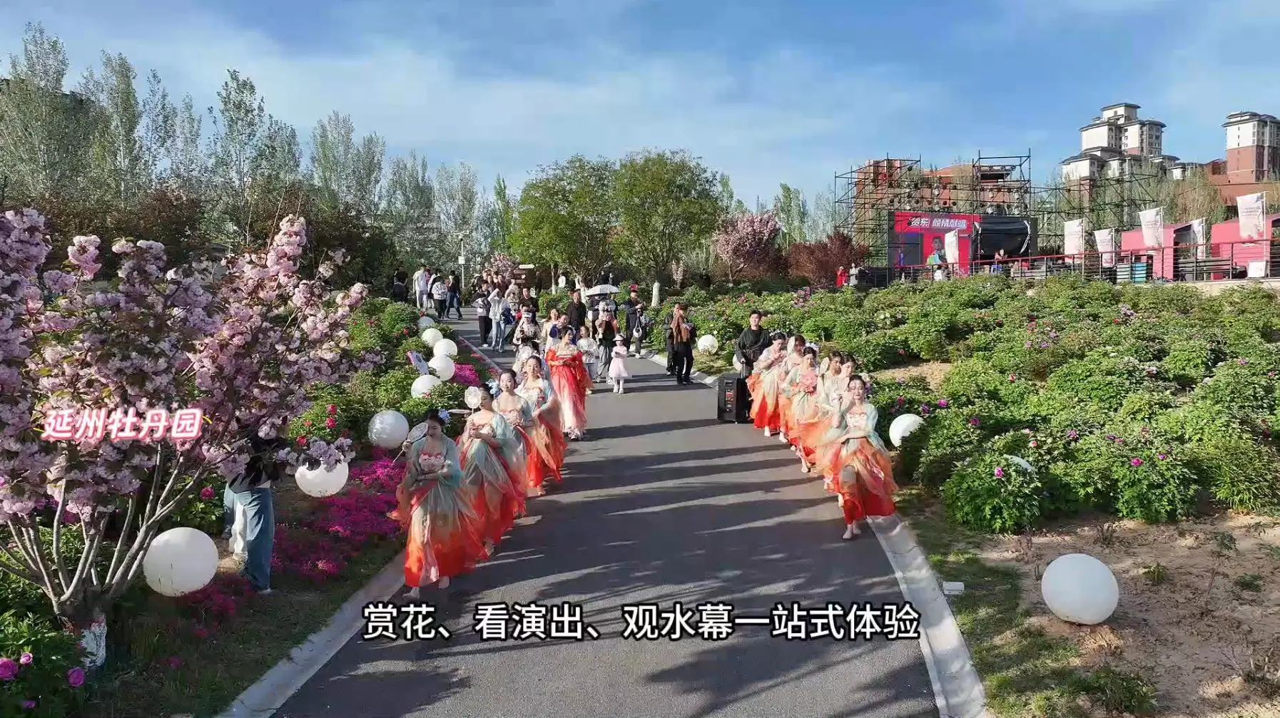 延州牡丹园游园盛会 特色演艺轮番上演，热闹又出彩，赏花、观演、看水幕一站式游玩 沉浸式漫游花海，尽享盛世繁花美景
