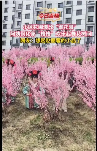 本以为是小区花圃，阿姨们一出场秒变 “御花园”名场面~