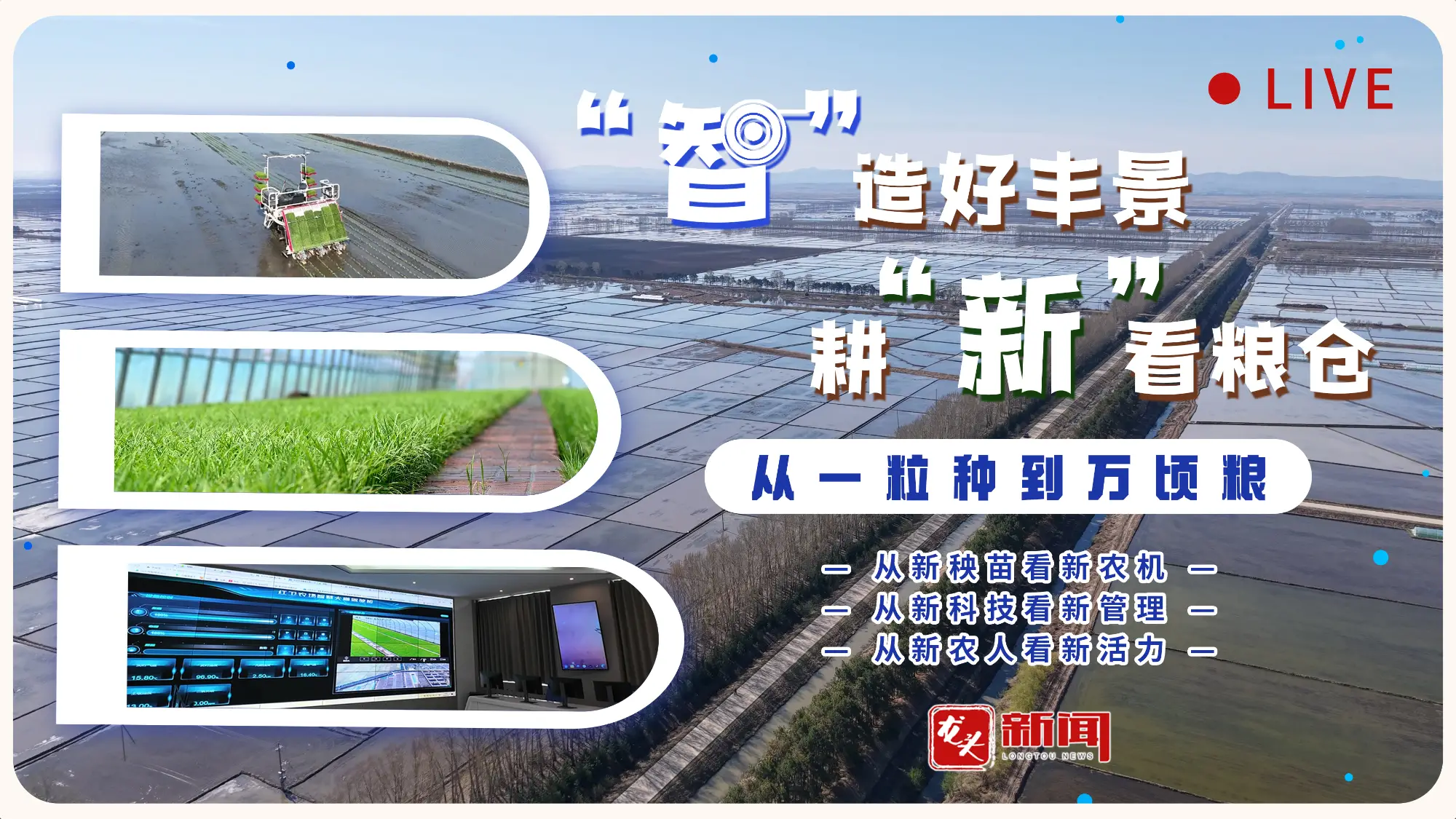春耕季 “智”造好丰景 耕“新”看粮仓：从一粒种到万顷粮