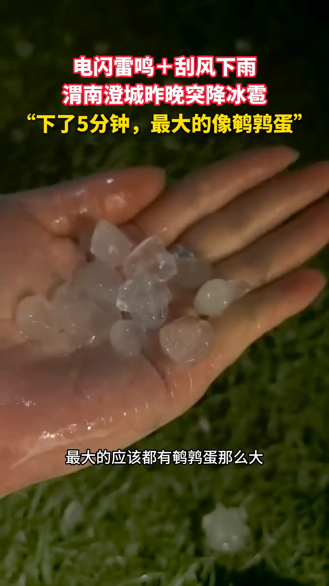 电闪雷鸣＋刮风下雨，渭南澄城昨晚突降冰雹，“下了5分钟，最大的像鹌鹑蛋”
