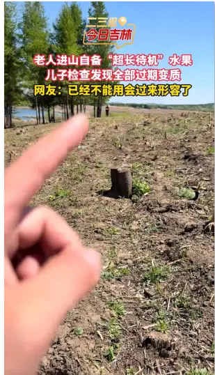 老人进山干活囤一兜水果，儿子一看全放到变质。