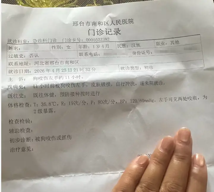 业主称物业工作人员带孩子和狗上班，“她孩子示意小狗咬伤我孩子”，物业：不存在教唆，愿意赔偿2500元