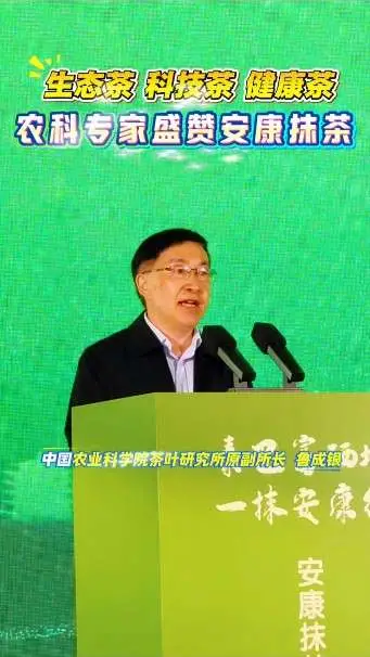 生态茶！科技茶！健康茶！农科专家盛赞安康抹茶