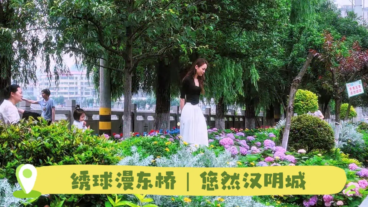 绣球漫东桥，悠然汉阴城