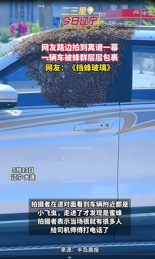 网友路边拍到离谱一幕 一辆车被蜂群层层包裹 网友：《挡蜂玻璃》