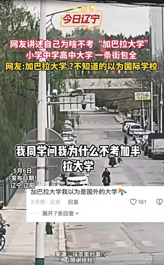 网友讲述自己为啥不考“加巴拉大学” 小学中学高中大学 一条街包全 网友:加巴拉大学 ?不知道的以为国际学校