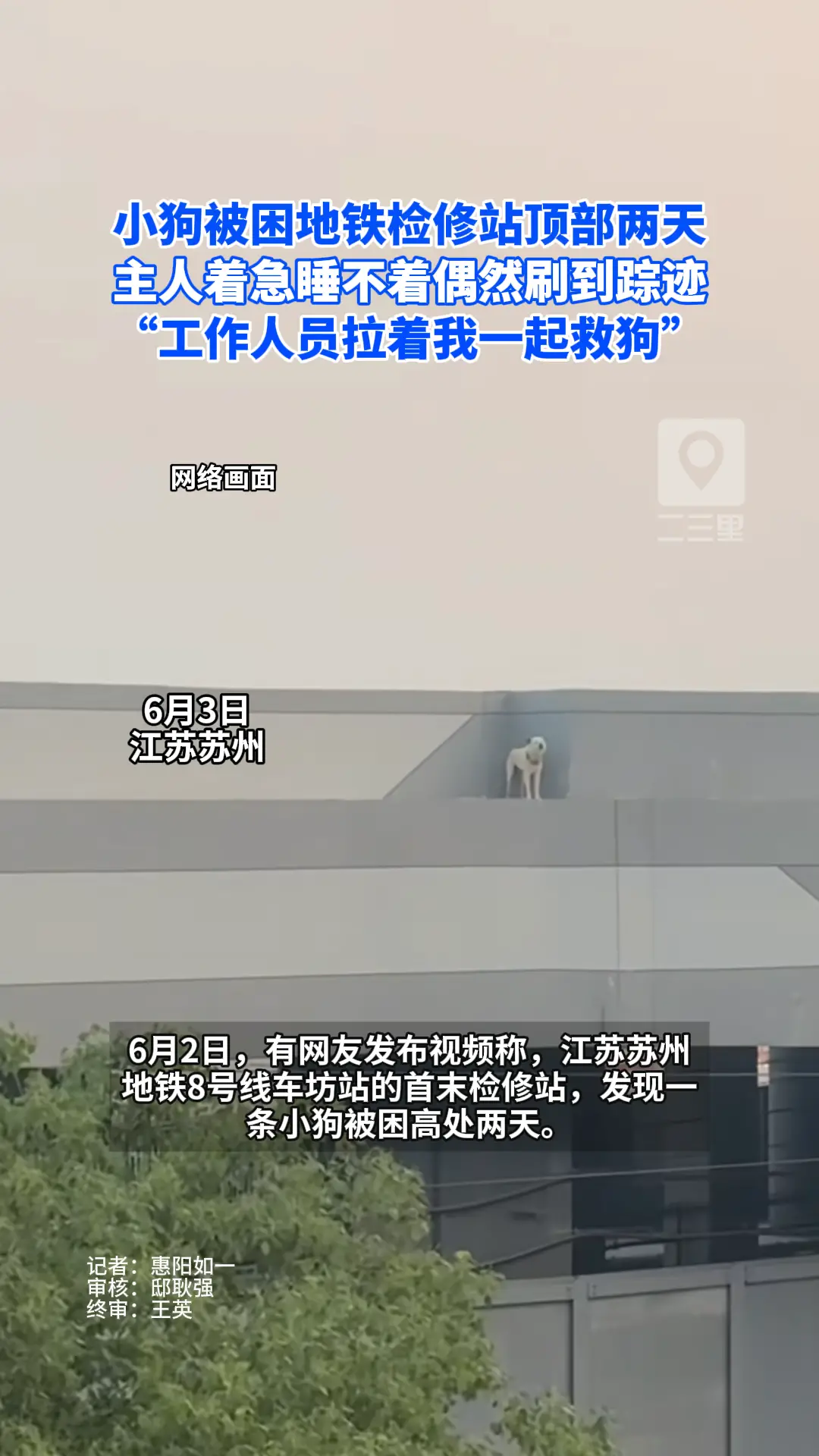 苏州一小狗被困地铁检修站顶部两天