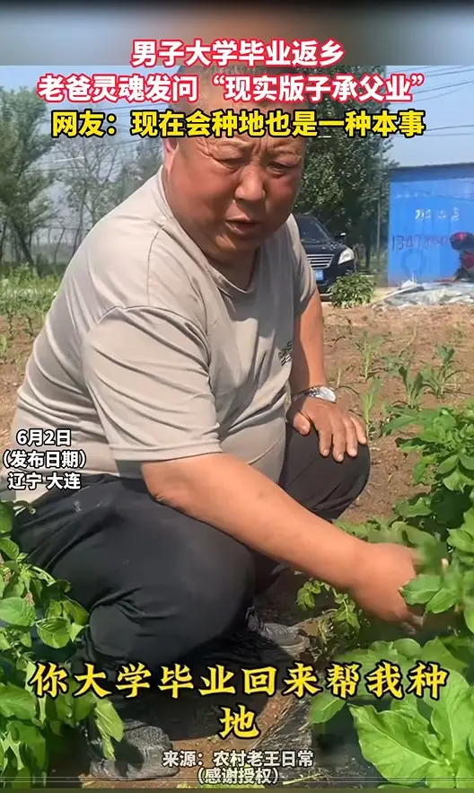  男子大学毕业返乡 老爸灵魂发问“现实版子承父业” 网友：现在会种地也是一种本事