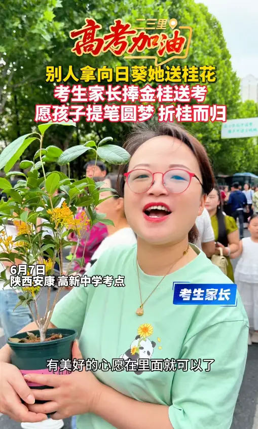 别人送向日葵，这位家长直接端来一盆盛开的桂花