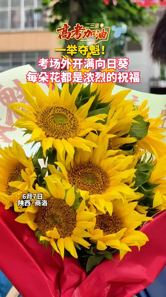 考场外家长们举着、抱着向日葵花束等孩子，每朵花都是浓烈的祝福和期待