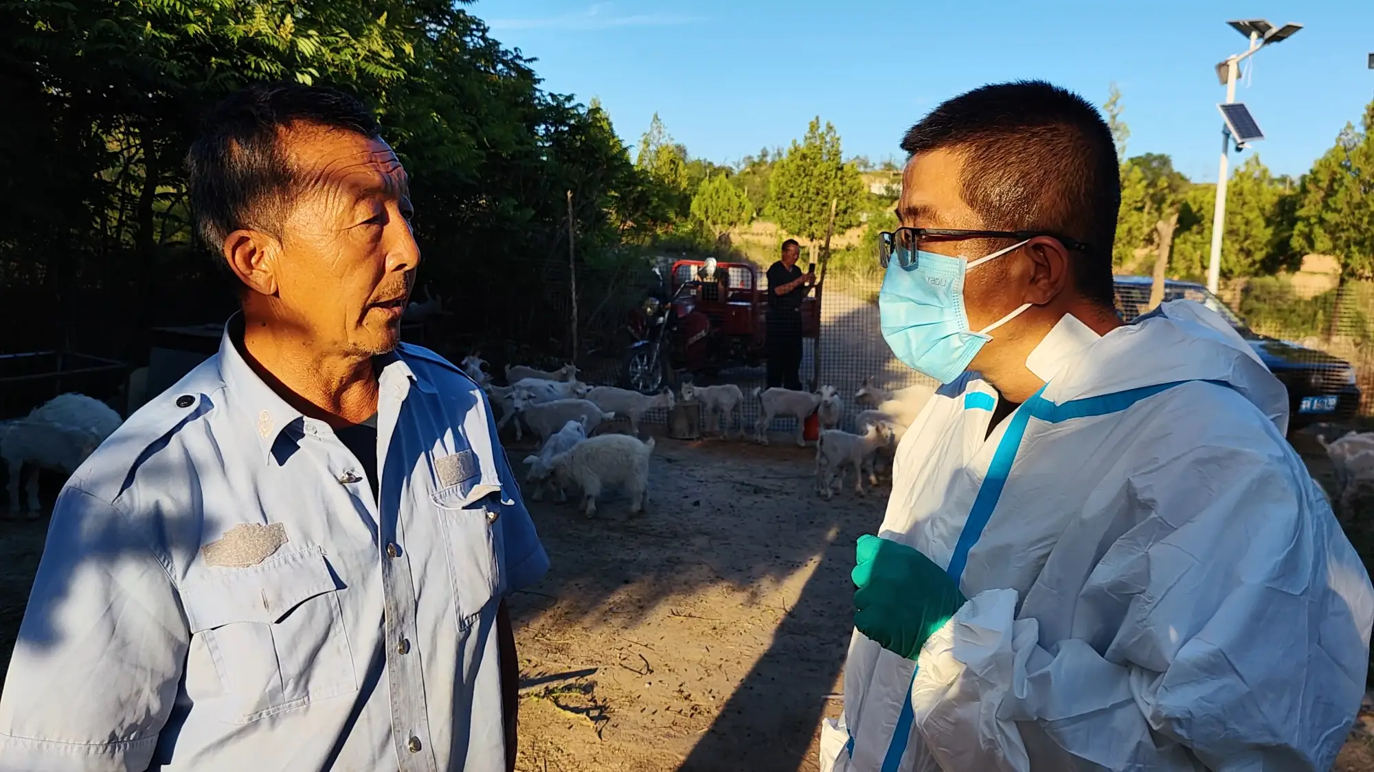柳洼村：村民养羊遭遇困惑 畜牧专家上门“急诊”