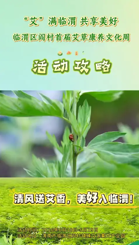 艾”满临渭  共享美好！临渭区阎村首届艾草康养文化周活动攻略来啦