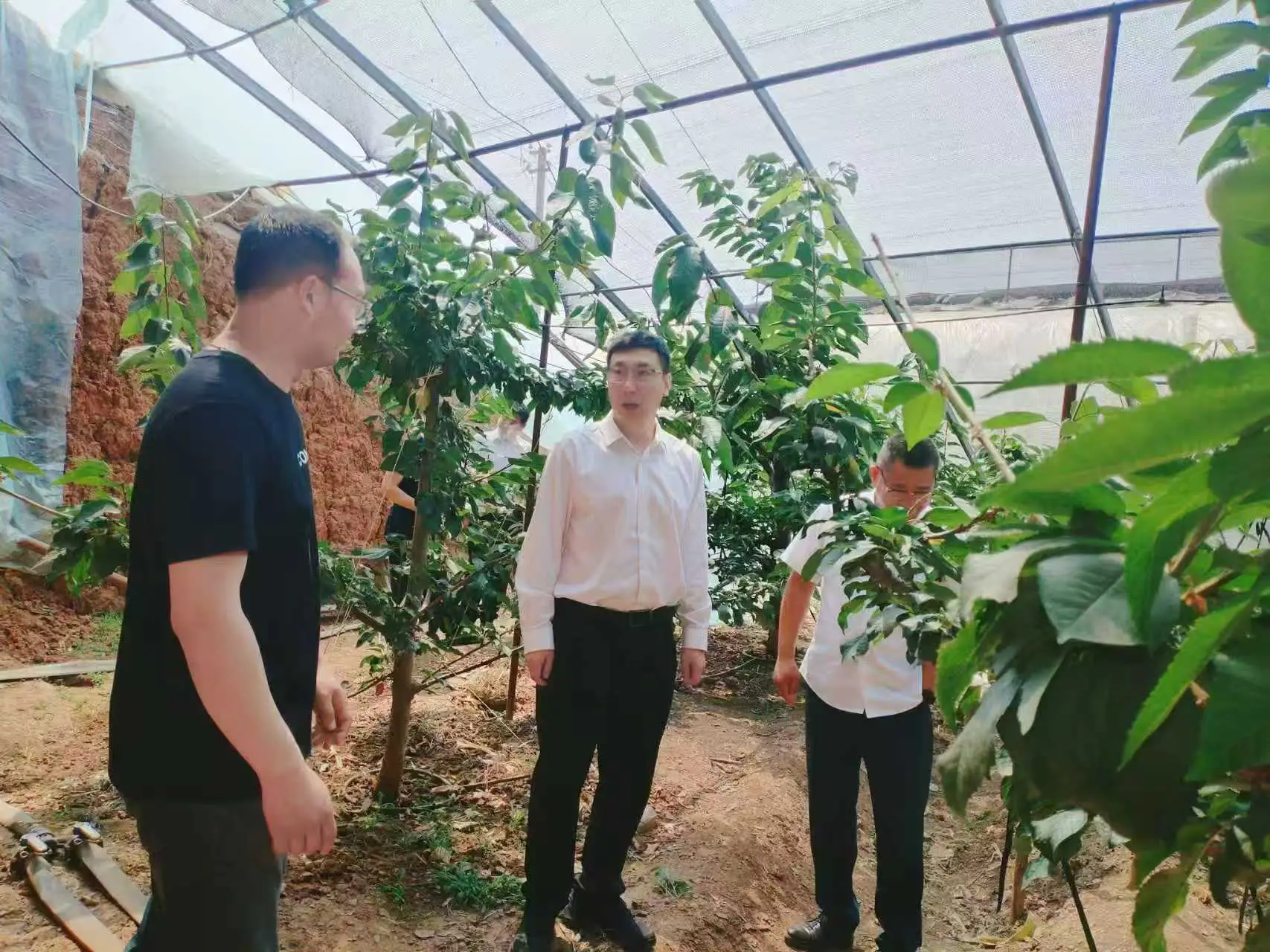 工行朝阳分行：金融活水润春耕 普惠赋能兴产业