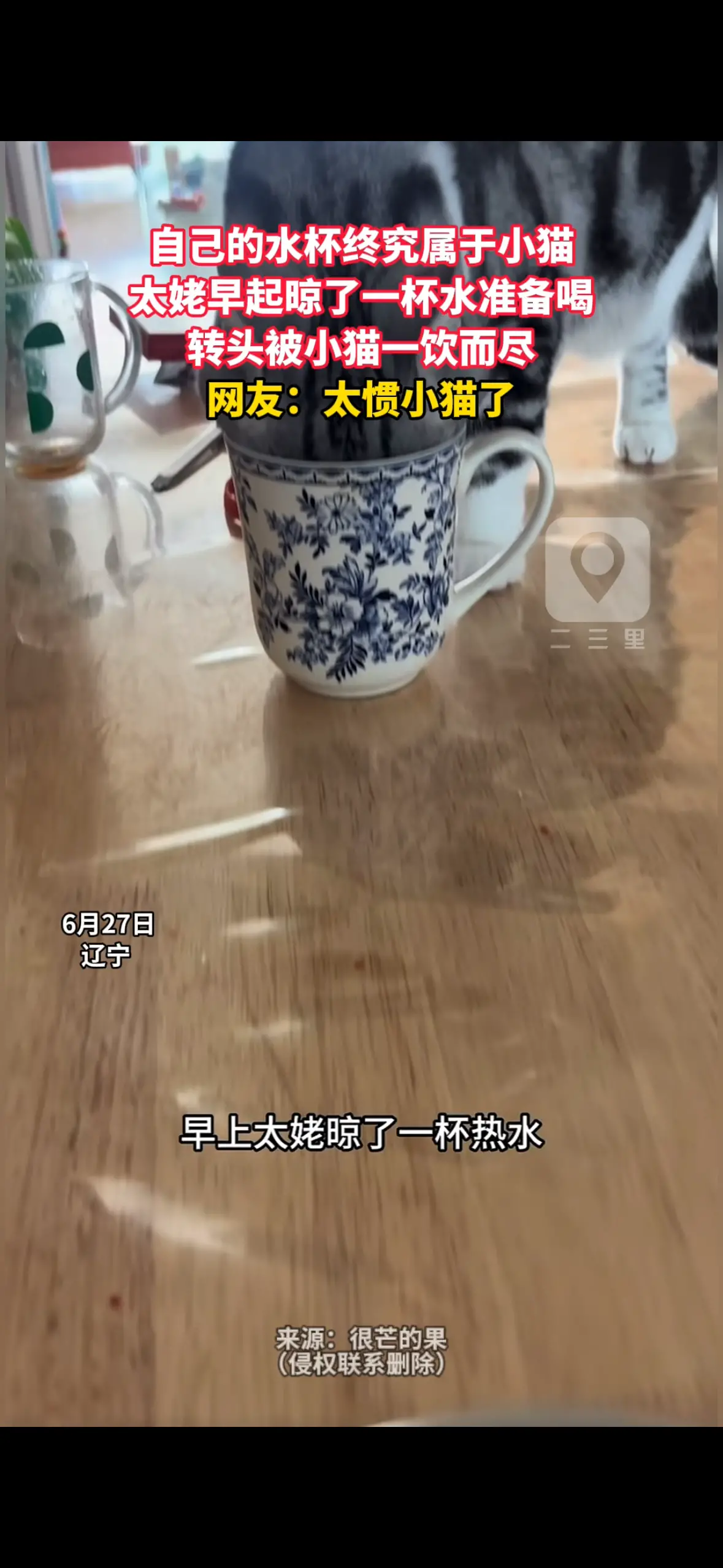 自己的水杯终究属于小猫 太姥早起晾了一杯水准备喝 转头被小猫一饮而尽 网友：太惯小猫了