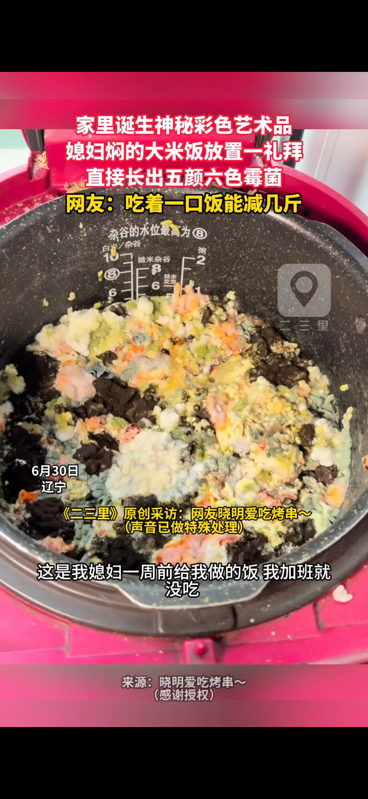 家里诞生神秘彩色艺术品 媳妇焖的大米饭放置一礼拜 直接长出五颜六色霉菌 网友：吃着一口饭能减几斤