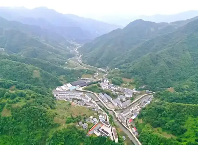 紫阳东木镇用精准服务助企纾困，以实干担当优化环境
