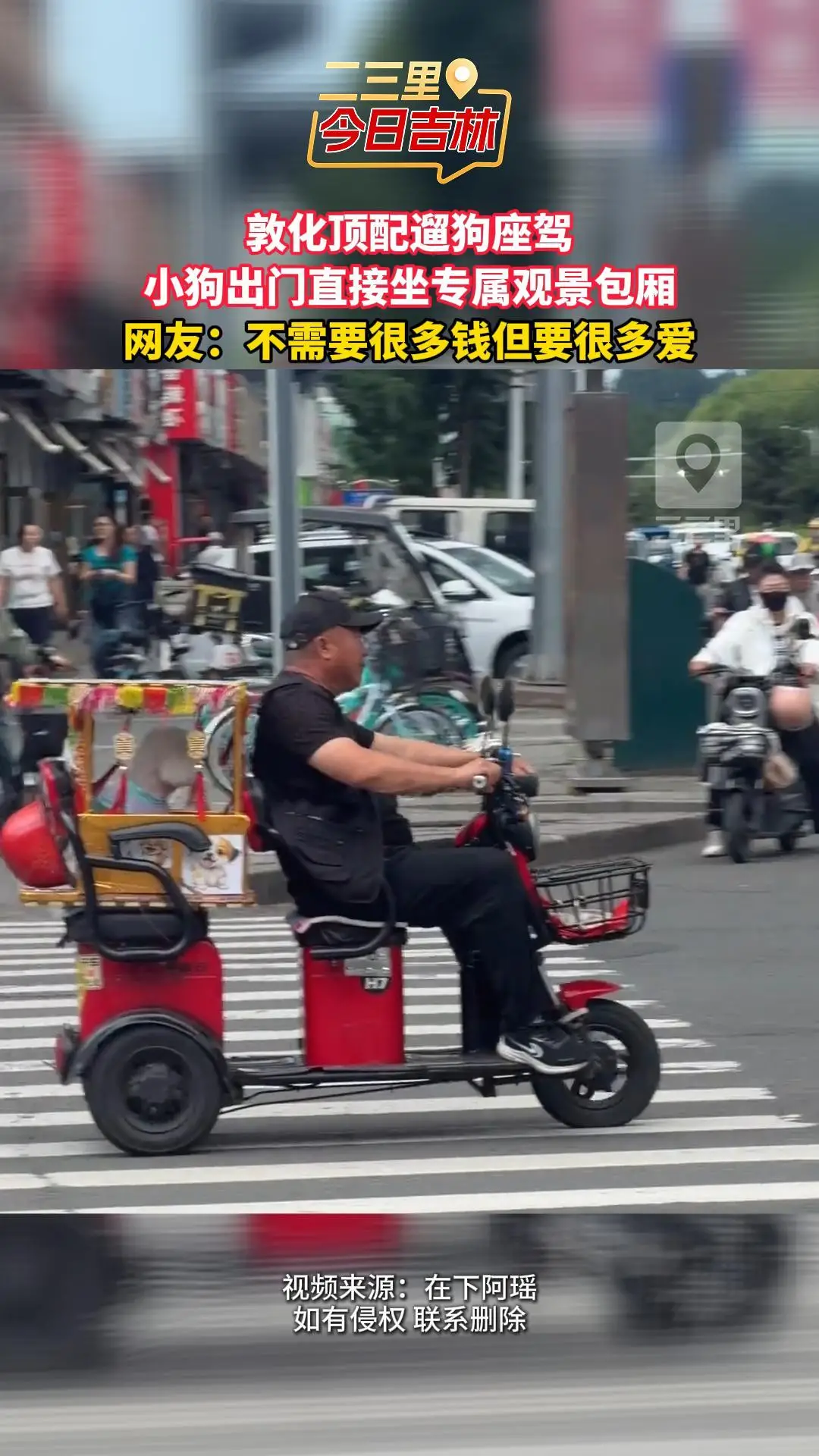 爱就要在行动中体现出来，敦化大叔改装三轮车，给小狗布置专属观景小座椅 