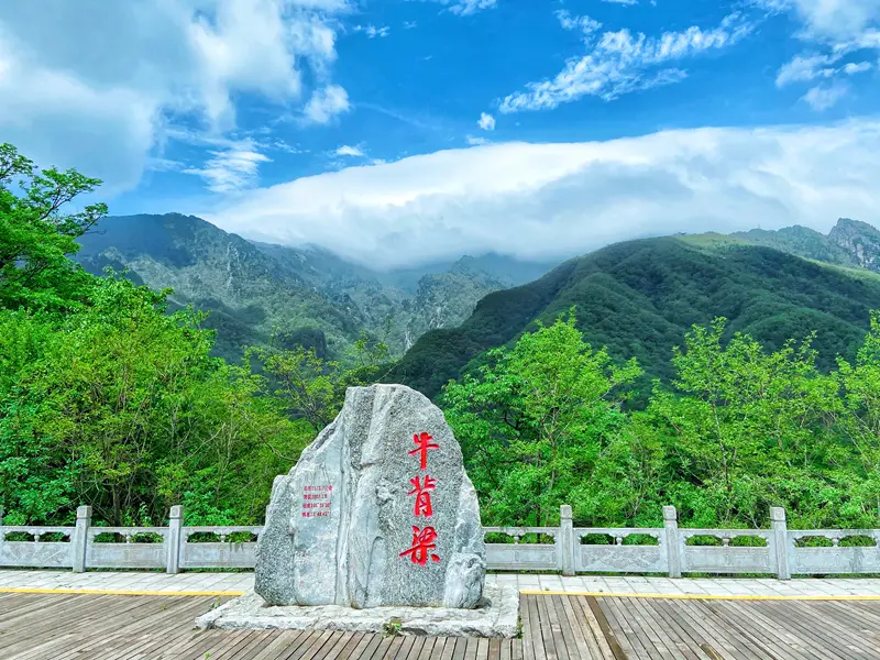 在秦岭秘境中相遇：一座被称为“天然氧吧”的中国城市
