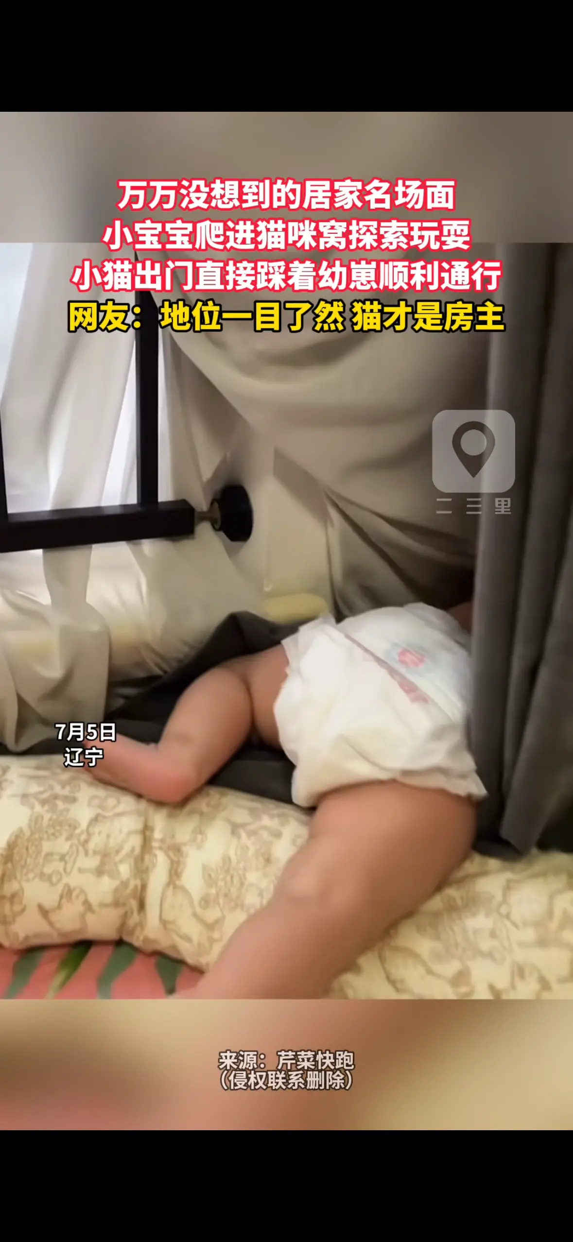 万万没想到的居家名场面 小宝宝爬进猫咪窝探索玩耍 小猫出门直接踩着幼崽顺利通行 网友：地位一目了然 猫才是房主