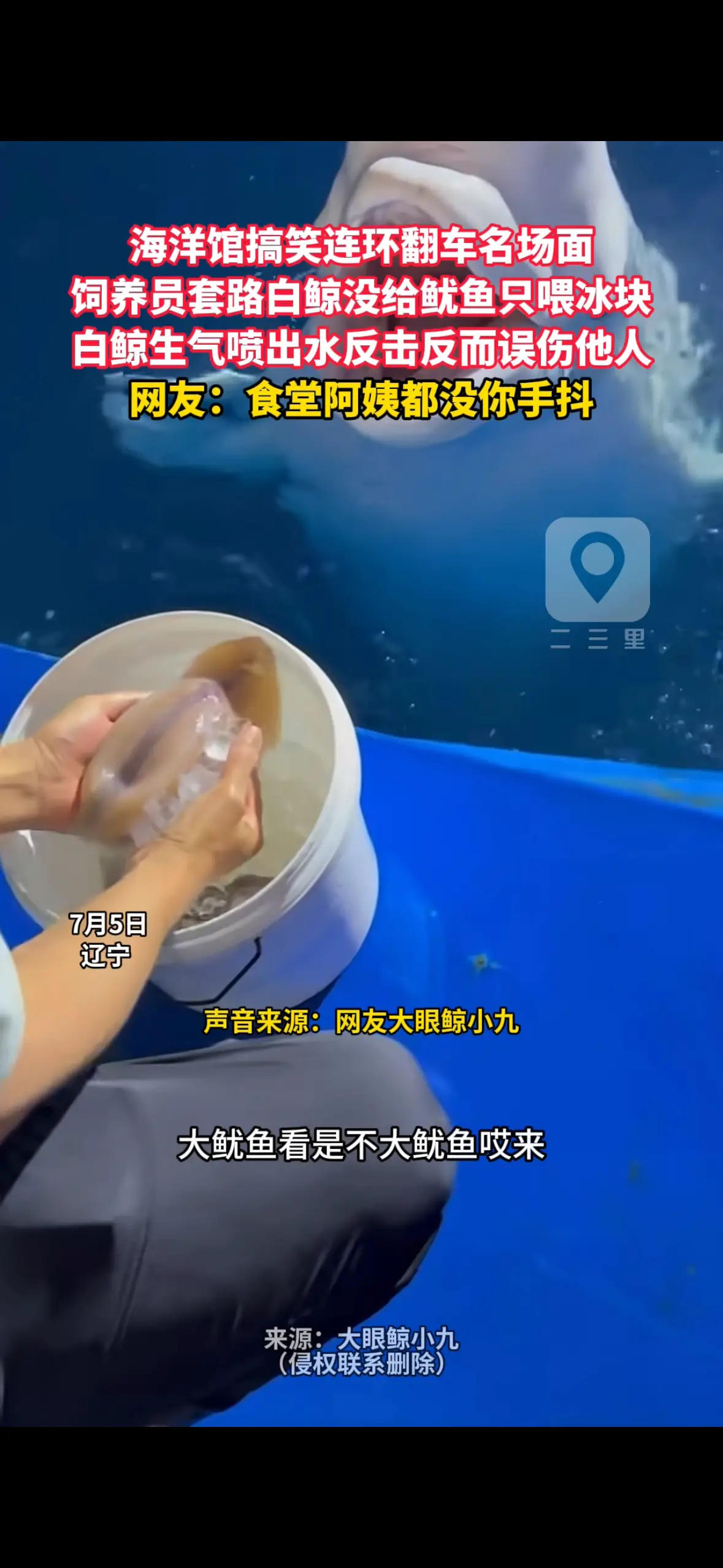 海洋馆搞笑连环翻车名场面 饲养员套路白鲸没给鱿鱼只喂冰块 白鲸生气喷出水反击反而误伤他人 网友：食堂阿姨都没你手抖