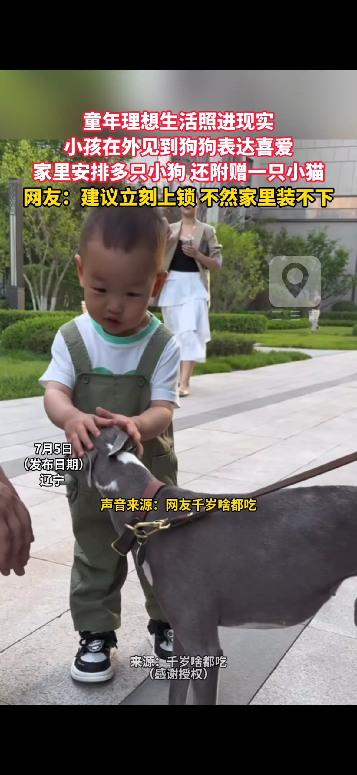 童年理想生活照进现实 小孩在外见到狗狗表达喜爱 家里安排多只小狗 还附赠一只小猫 网友：建议立刻上锁 不然家里装不下
