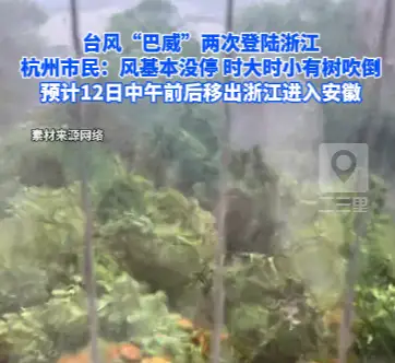 台风“巴威”两次登陆浙江，杭州市民：风基本没停，时大时小有树吹倒