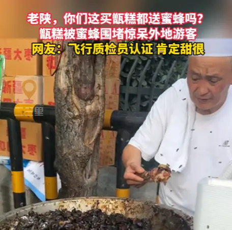 甑糕被蜜蜂围堵惊呆外地游客，网友：飞行质检员认证