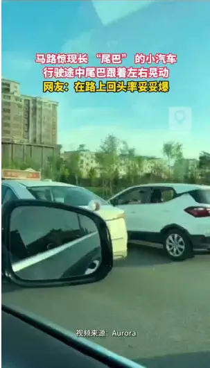 马路惊现长 “尾巴” 的小汽车，行驶途中尾巴跟着左右晃动