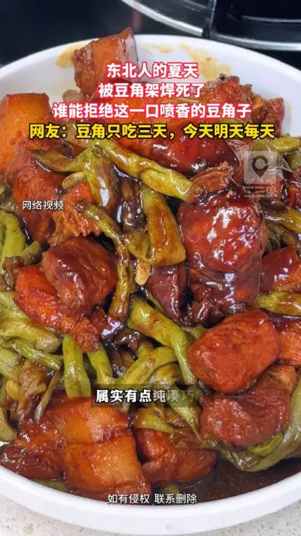 东北夏天三件事：搭豆角架、摘油豆角、烀一锅炖豆角