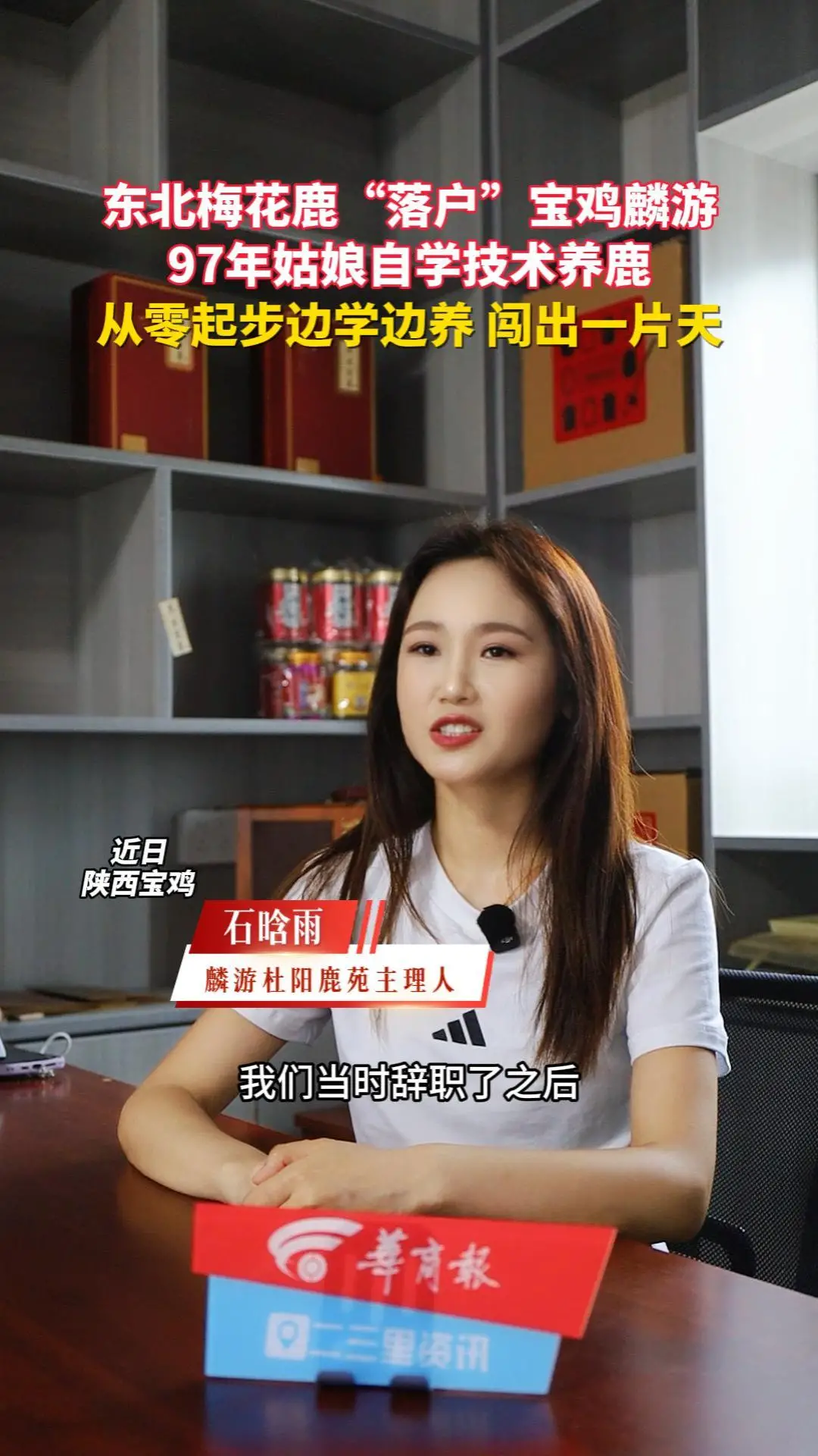 东北梅花鹿"落户"宝鸡麟游，97年姑娘自学技术养鹿 从零起步，边学边养 硬是闯出来了