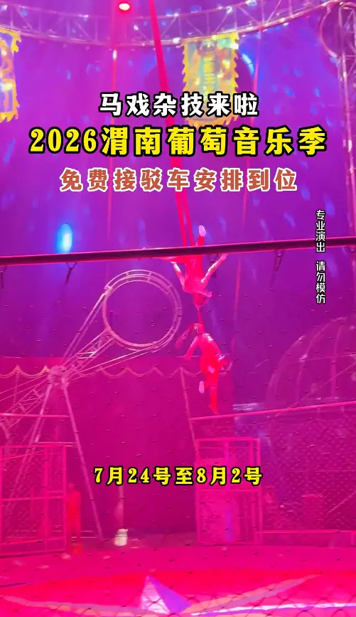 渭南第七届葡萄音乐季，马戏团杂技来啦，