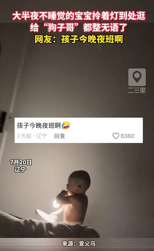 大半夜不睡觉的宝宝拎着灯到处逛 给“狗子哥”都整无语了 网友：孩子今晚夜班啊