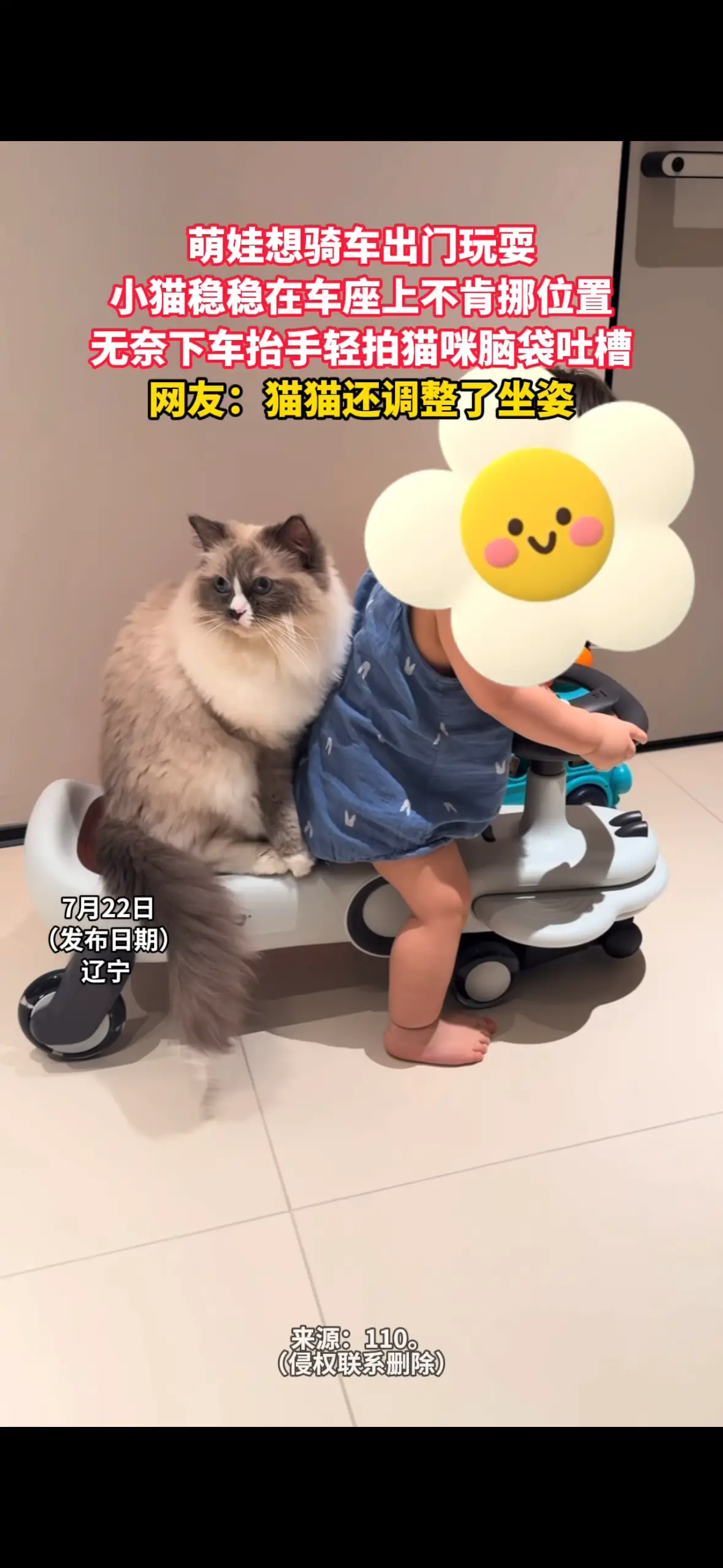 萌娃想骑车出门玩耍 小猫稳稳在车座上不肯挪位置 无奈下车抬手轻拍猫咪脑袋吐槽 网友：猫猫还调整了坐姿