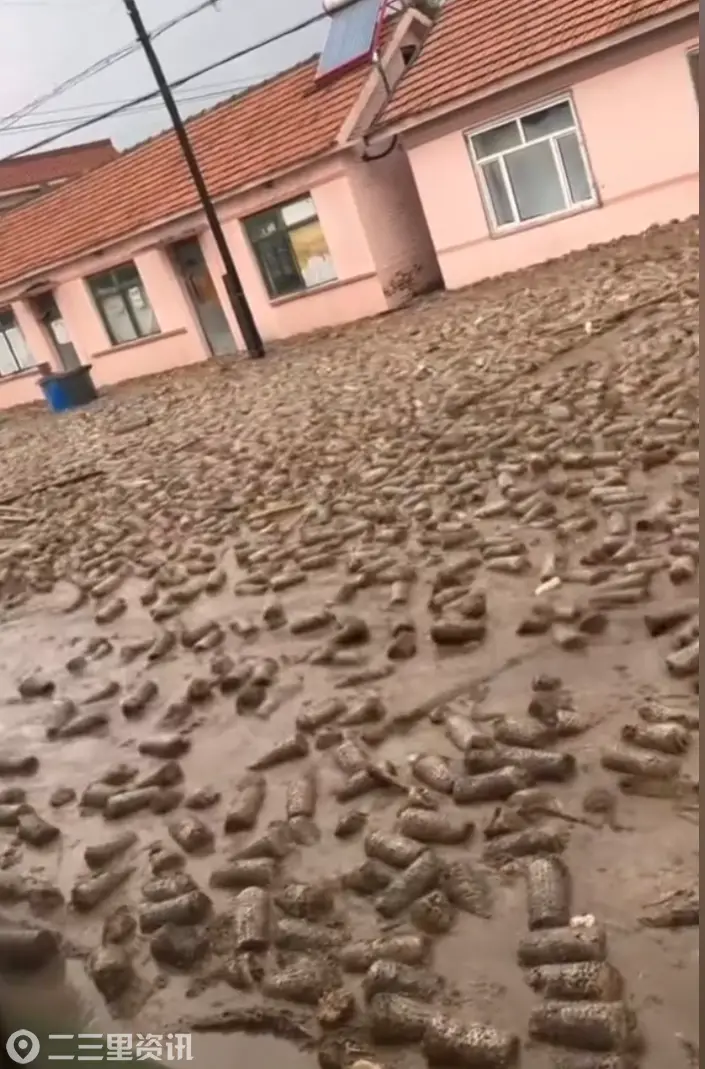 吉林省汪清县春阳镇突发洪水，农户大量木耳菌棒被冲到路面，当地应急局：降雨引发，已组织群众转移