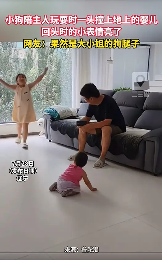 小狗陪主人玩耍时一头撞上地上的婴儿 回头时的小表情亮了 网友：果然是大小姐的狗腿子