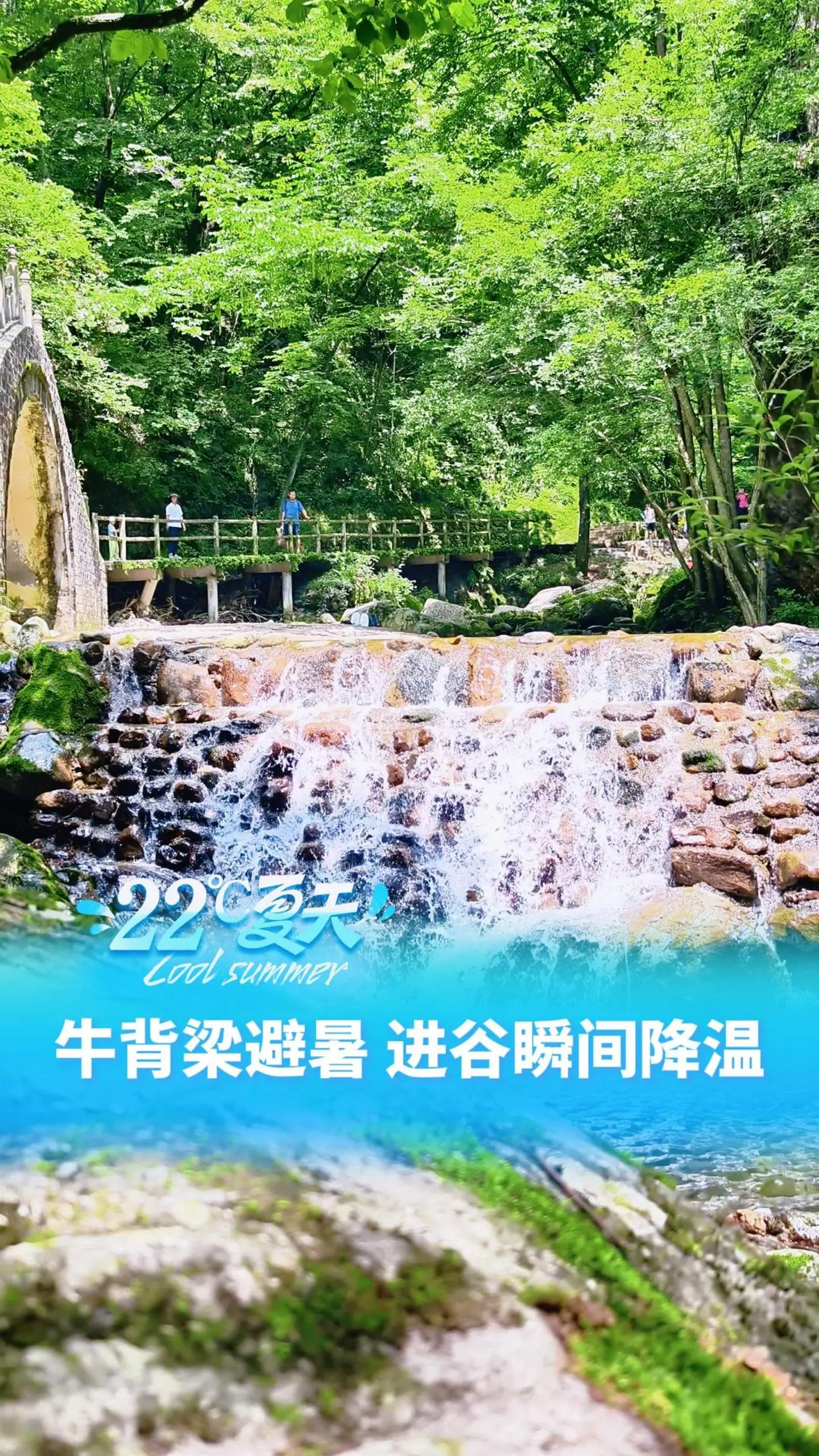 【22℃夏天】柞水牛背梁，进谷瞬间降温，天然空调专治城市闷热焦虑