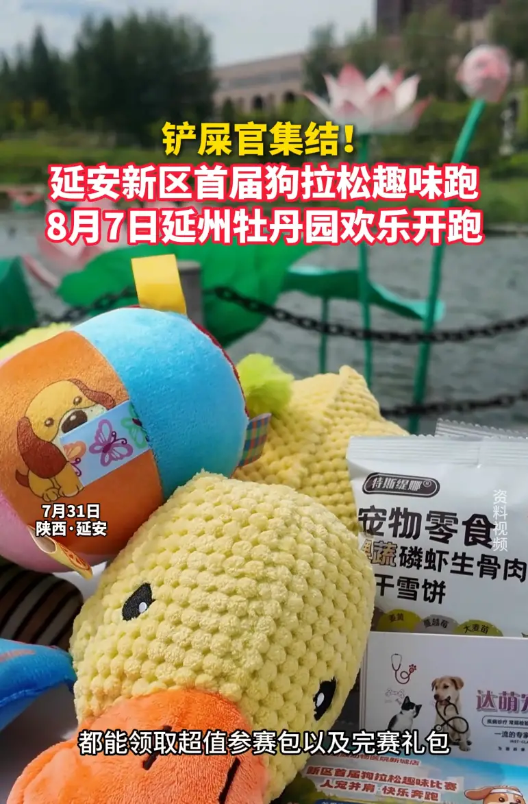 铲屎官集结!延安新区首届狗拉松趣味跑8月7日延州牡丹园欢乐开跑