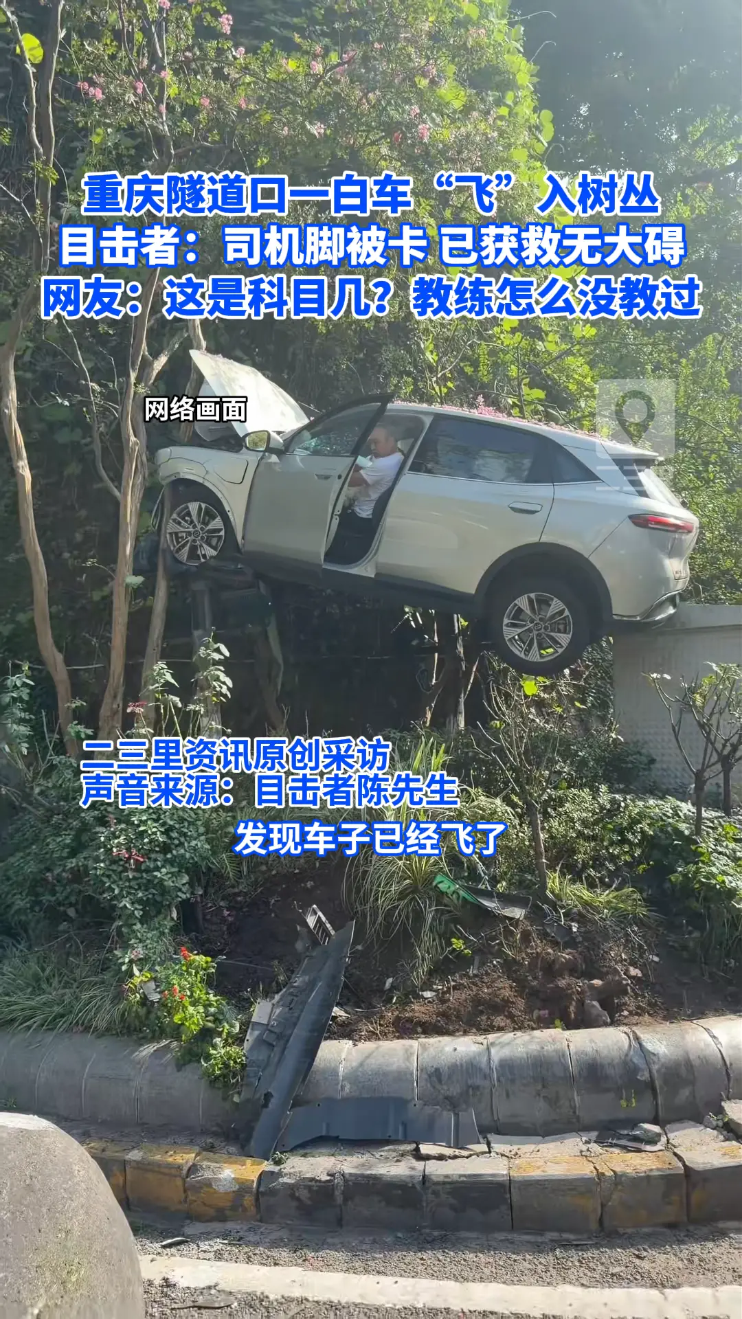 重庆隧道口一白车“飞”入树丛
