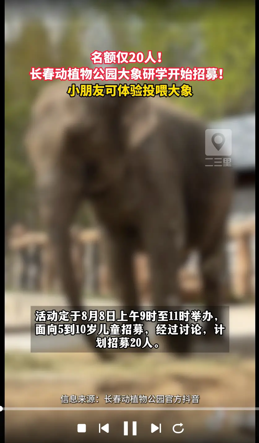 长春超有意思的大象研学活动上线！科普讲解、投喂体验、趣味手工一站式打卡