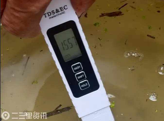 浙江玉环沙门镇一河道突现大量死鱼，村民疑与排污有关，曾闻到浓烈臭味