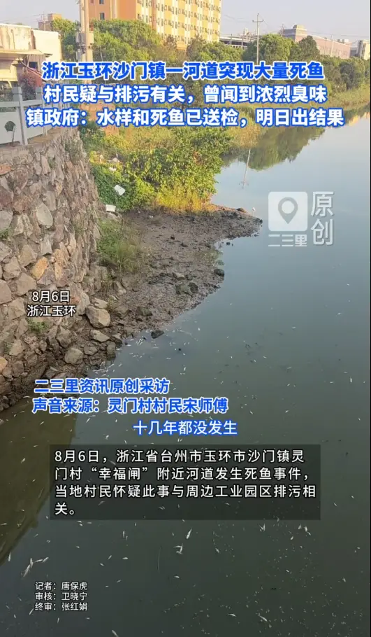 浙江玉环沙门镇一河道突现大量死鱼 ，村民疑与排污有关，镇政府称水样和死鱼已送检