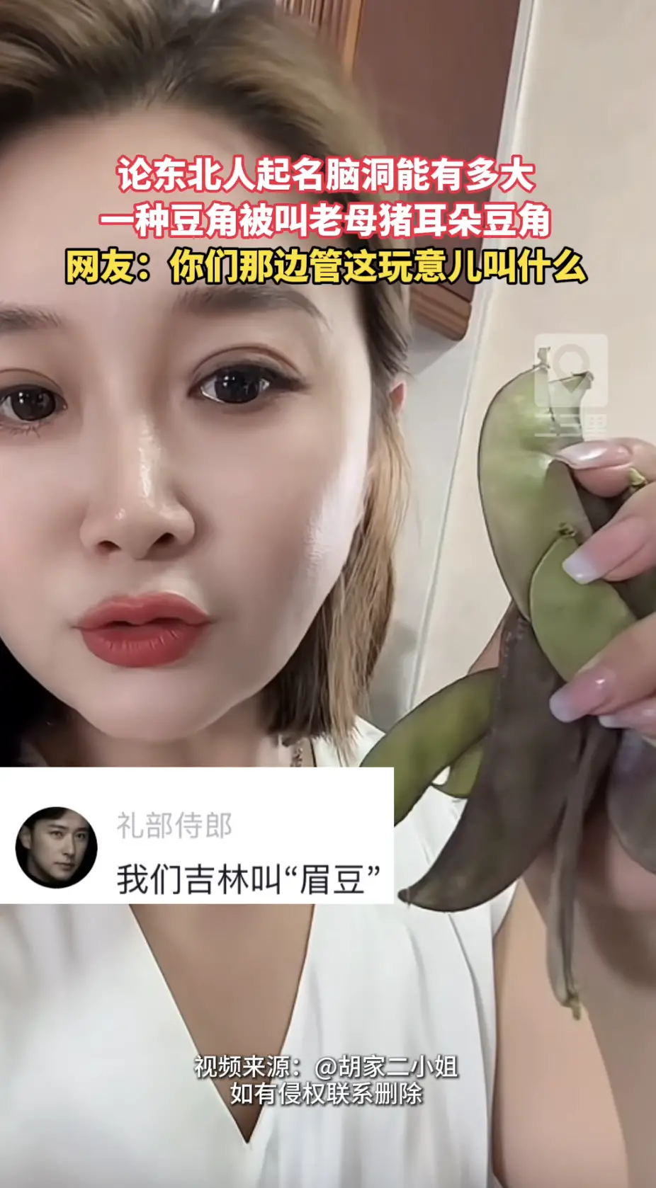 东北的食材方言外号真的太有画面感！同款豆角，各地叫法千差万别，快来评论区说说你们家乡怎么喊它。