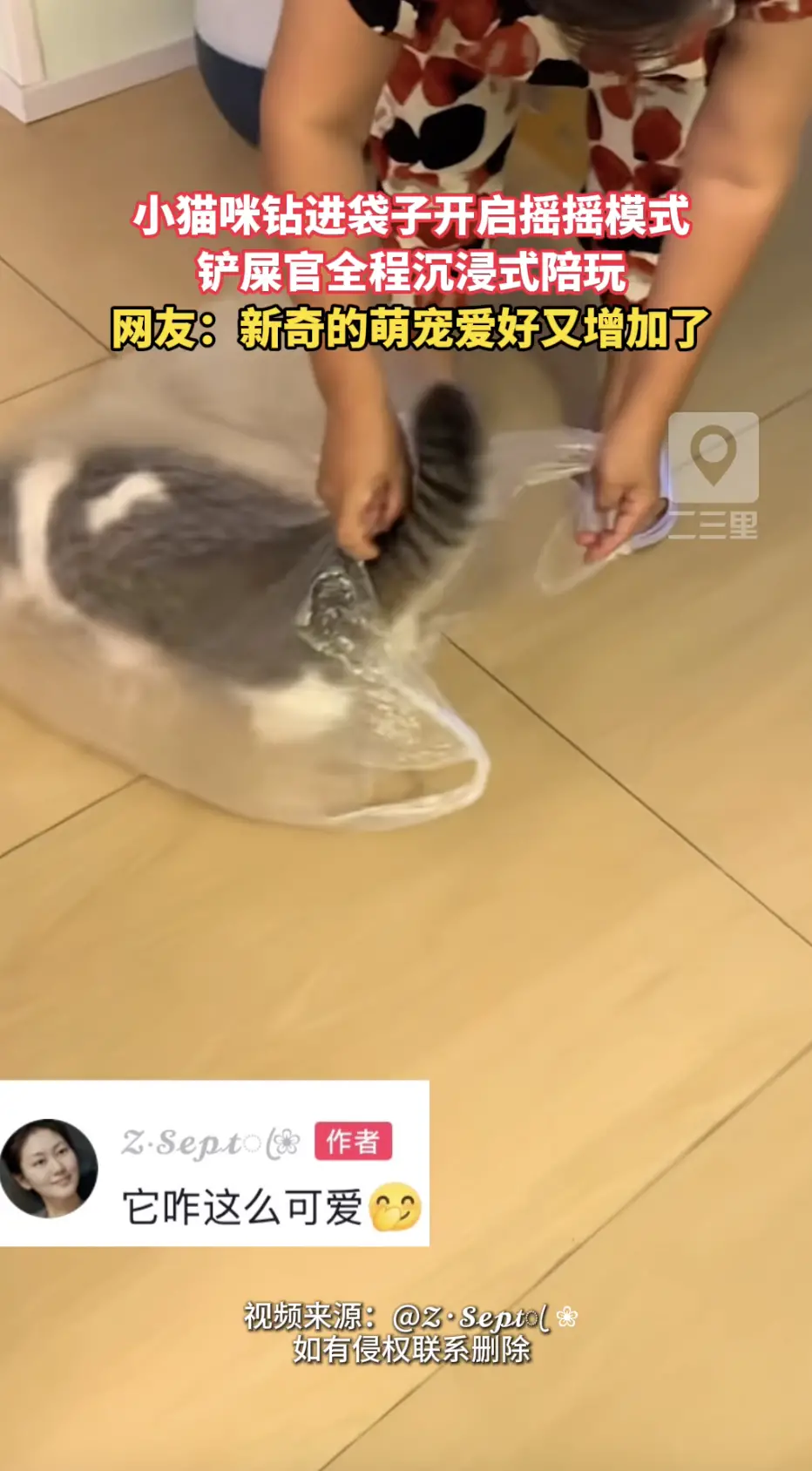 小猫咪有自己独特的小喜好，主人贴心陪着猫咪玩耍