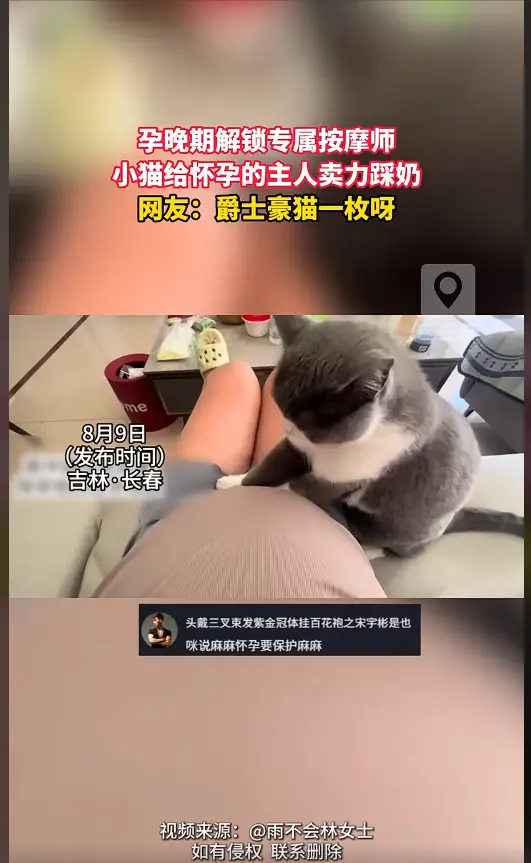 情绪价值拉满！小猫给孕晚期的主人卖力踩奶按摩 