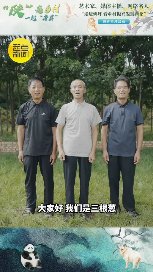 跟着艺术家、媒体主播、网络名人打卡佛坪，看乡村振兴发展新象