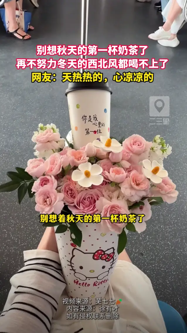 别想秋天的第一杯奶茶了，不努力冬天西北风都喝不上