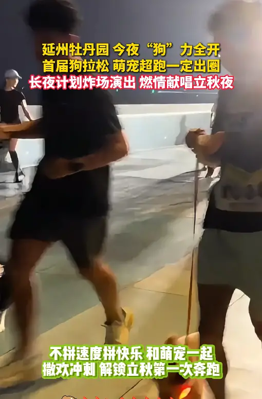 延州牡丹园今夜“狗"力全开首届狗拉松萌宠超跑一定出圈长夜计划炸场演出燃情献唱立秋夜