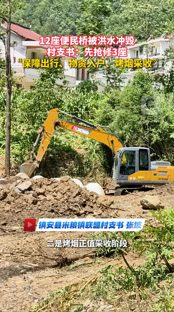 12座便民桥被洪水冲毁，村支书：先抢修3座，“保障出行、物资入户、烤烟采收”