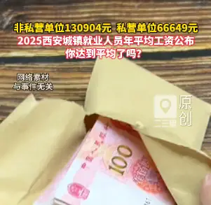 2025年西安城镇单位就业人员年平均工资公布，非私营单位130904元，私营单位66649元