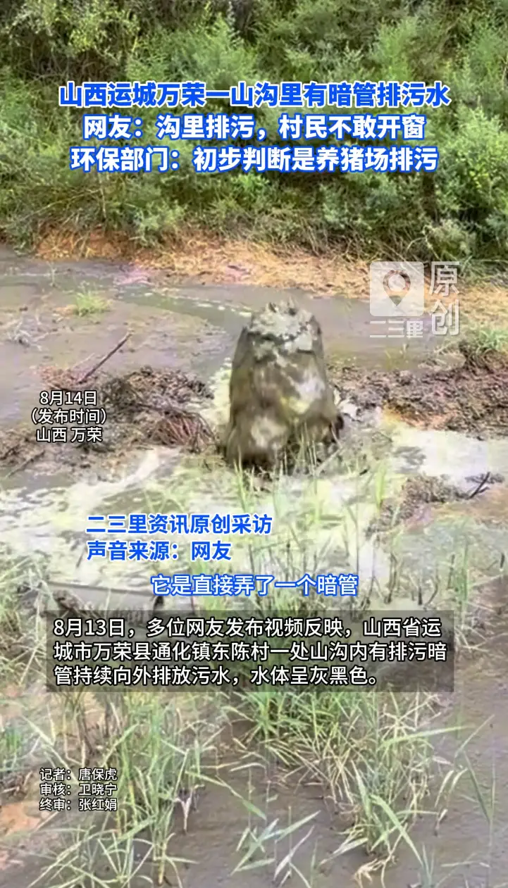 山西运城万荣一山沟内有暗管排污水 ，环保部门回应初步判断是养猪场排污